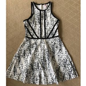 Parker Black and White Fit and Flare Dress